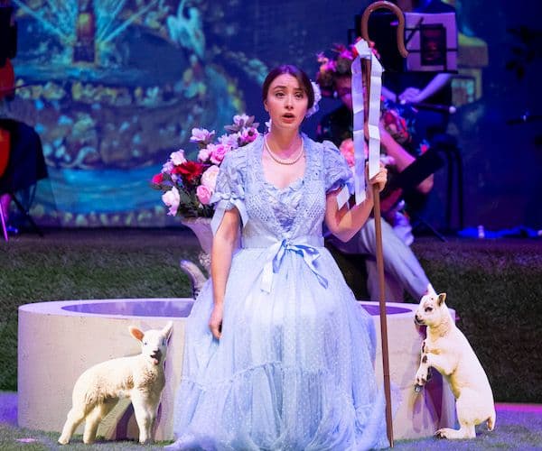 Pleasures of versailles